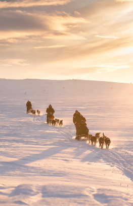 Alta Northern Lights & Winter Break